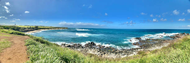 wind blown grasses on the coastline / ho’okipa beach park / panoramic view on a drive on maui, hi - usa samuel howell stock pictures, royalty-free photos & images