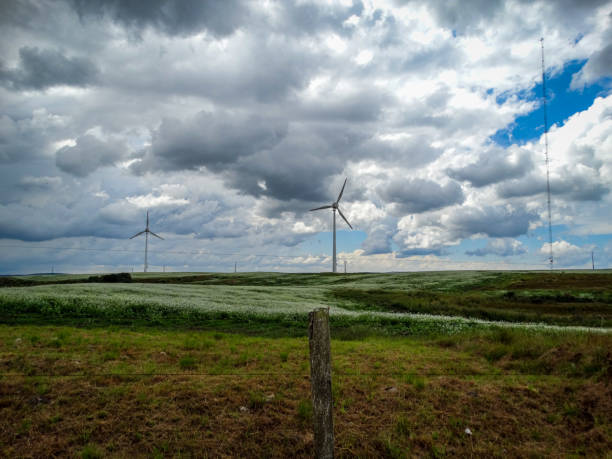 Wind energy turbines at a power plant stock photo