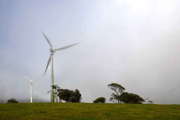 Wind energy turbines at Windy Hill near Ravenshoe on the Atherton Tablelands in Tropical North Queensland, Australia stock photo