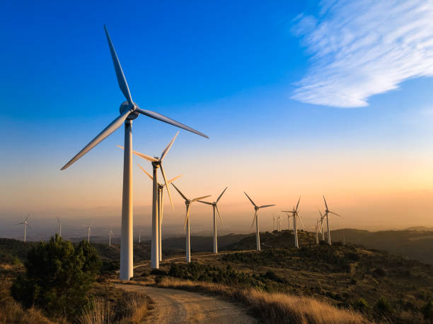 wind farm at sunset. - energy imagens e fotografias de stock