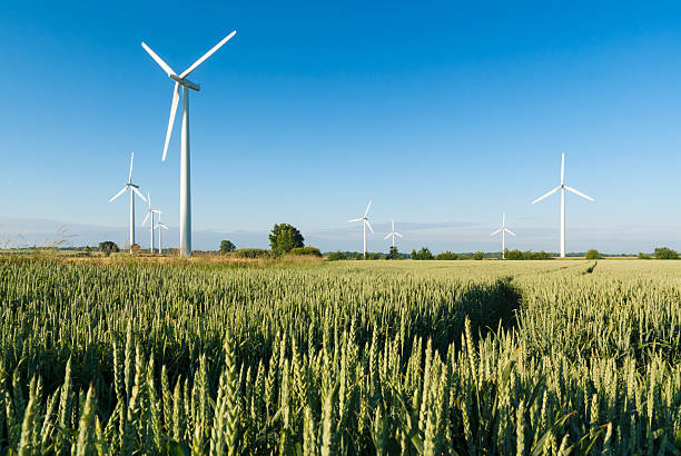 wind farm in north deutschland - windrad stock-fotos und bilder