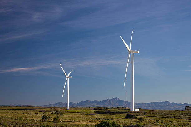 Wind farm near Port Elizabeth stock photo
