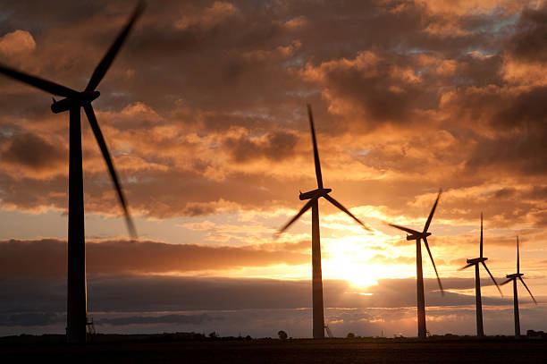 wind farm sunrise stock photo