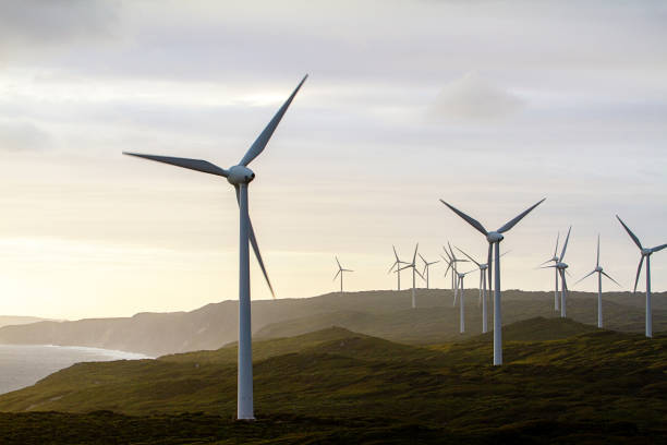 turbinas de parques eólicos al atardecer en australia occidental - energía renovable fotografías e imágenes de stock