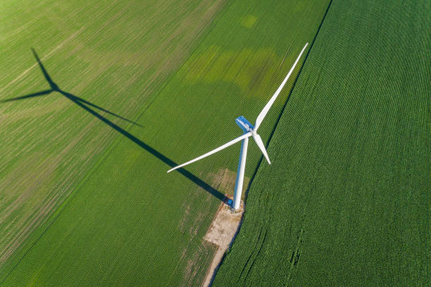 Wind turbine and countryside corn field. Top view stock photo