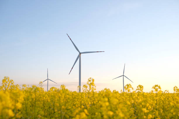 Wind turbine energy generator. Green energy power supply. stock photo