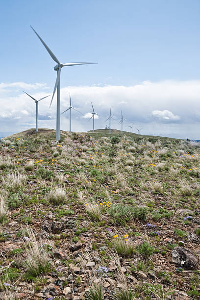 Wind Turbine in the Eastern Washington Desert Installed wind power capacity in Washington State, has grown in recent years and the state now ranks among the top ten in the nation with the most wind power installed. As of 2016, wind energy accounted for 7.1% of all energy generated in Washington State. This turbine operates in the Kittitas Valley near Ellensburg, Washington State, USA. jeff goulden wind energy stock pictures, royalty-free photos & images