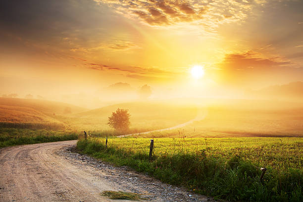 Winding Farm Road through Foggy Landscape Winding Farm Road through Foggy Landscape - fields, meadow, sun during sunrise  sunrise dawn photos stock pictures, royalty-free photos & images