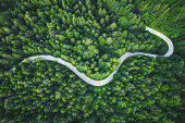 istock Winding Forest Road 1303391858