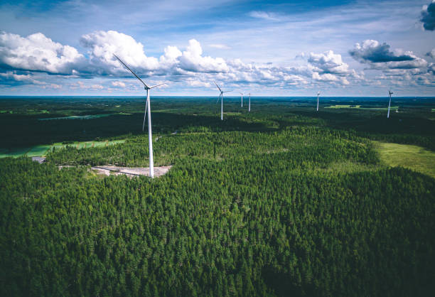 Windmills. Aerial view of windmills in green summer forest in Finland. stock photo