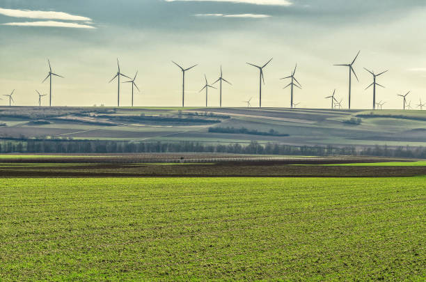 windmühlen im feld - sustainable future road stock-fotos und bilder