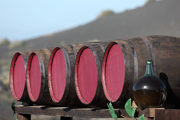 Wine barrels at a bodega on Canary Island Lanzarote, Spain