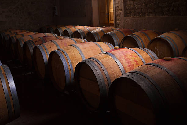 Wine barrels in an aging cellar stock photo