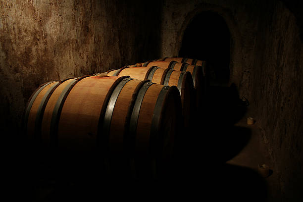 Wine barrels in the caveau stock photo