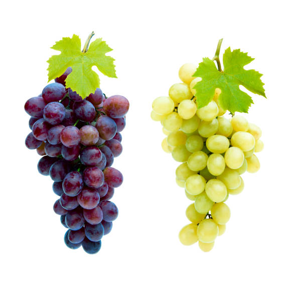 Wine Grape Wine Grapes Isolated grape stock pictures, royalty-free photos & images