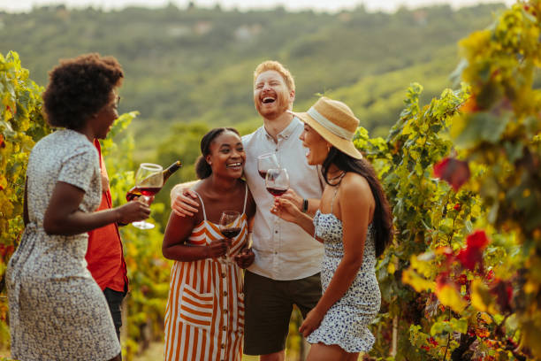Wine tasting in a Italian winery after grape harvesting stock photo