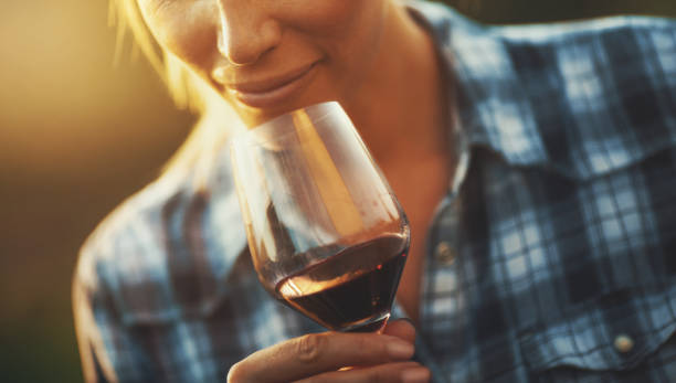 wine tasting. - sniffing glass imagens e fotografias de stock
