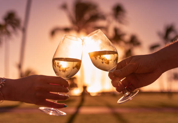 Wine toasting at sunset. stock photo