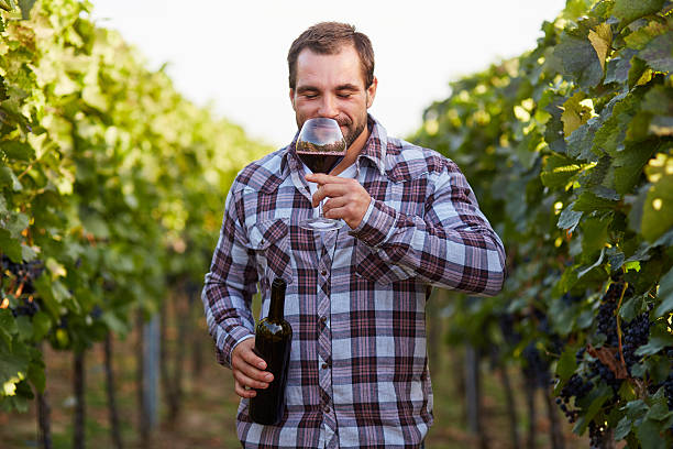 Young winemaker tasting red wine in vineyard