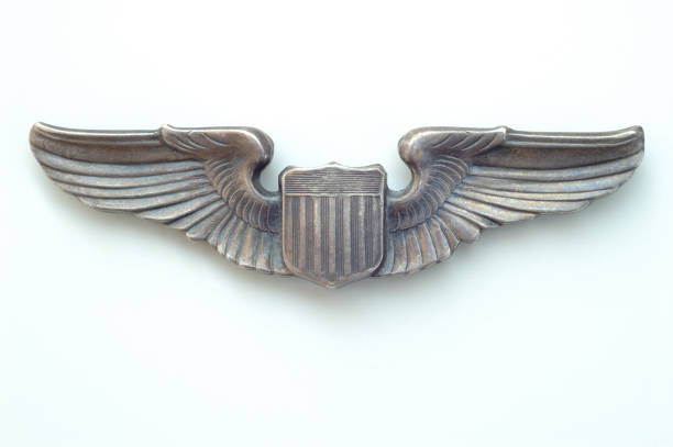 Winged Insignia stock photo