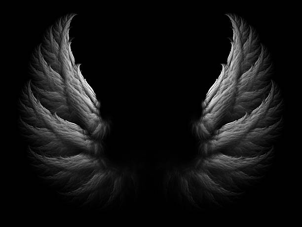 Wings White angel wings on black background. angel stock pictures, royalty-free photos & images