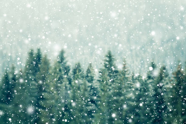winter background - holiday background stok fotoğraflar ve resimler