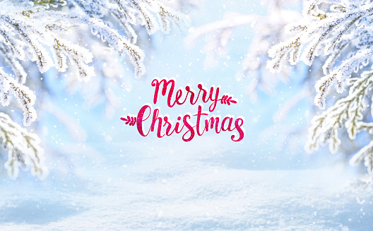 Winter colorful Christmas scenic landscape greeting card, inscription Merry Christmas. Snow with spruce branches covered with snow close-up, snowdrifts and falling snow on nature outdoors, copy space.