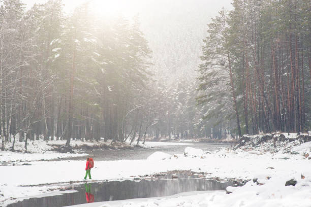 Winter forest and traveler with backpack. stock photo