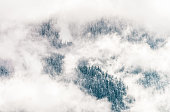 Morning mist clinging to a pine forest on the side of a snowy mountain in the European Alps.