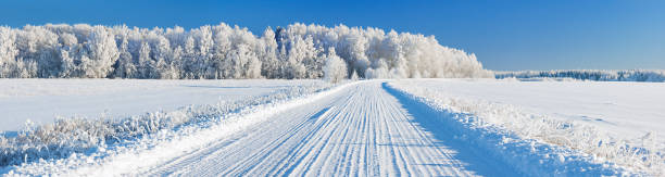 beautiful winter landscape panorama with road and forest. panoramic...