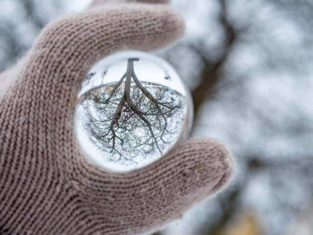 winterlandschaftsbaum in einer glaskugel - alpen unscharf winter stock-fotos und bilder