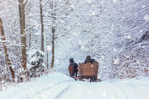 Winter landscape - view of the snowy road with with a horse sleigh in the winter mountain forest Winter landscape - view of the snowy road with with a horse sleigh in the winter mountain forest after snowfall carpathian mountain range stock pictures, royalty-free photos & images