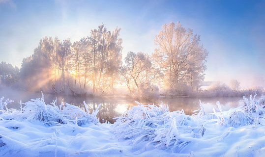 Winter Photography Winter River Frosty Trees Landscape Instant Download- Digital Photo Landscape Photography Nature Photography