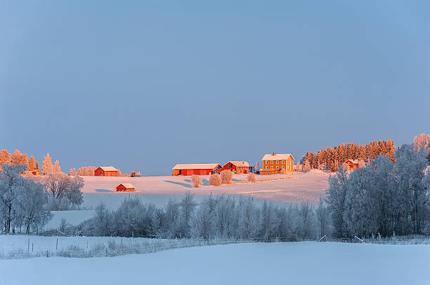 Winter Landscape With Red Farmhouses Northern Sweden Stock Photo More Pictures Of 2015