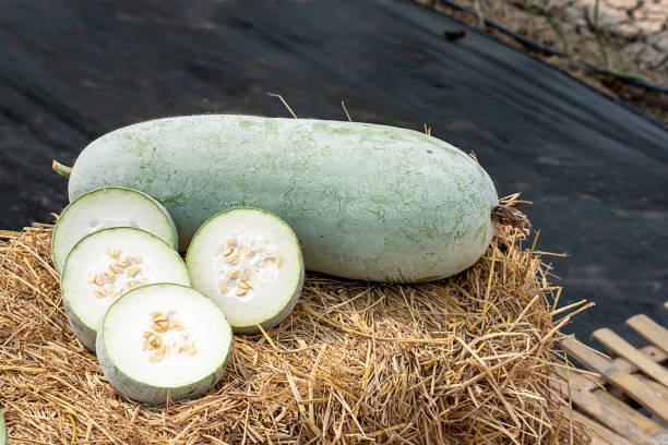 Winter melon is cut into pieces on the straw. stock photo