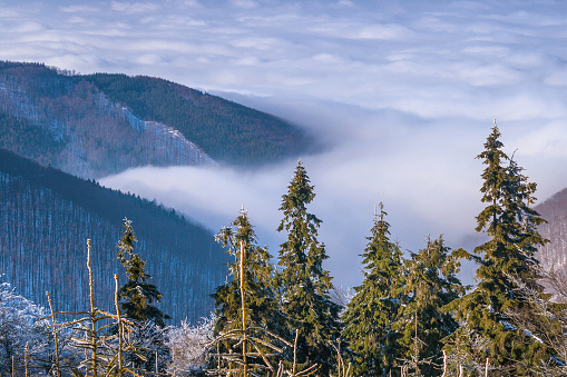 Winter mountain landscape with fog in valley, Pustevny, Czech Republic.