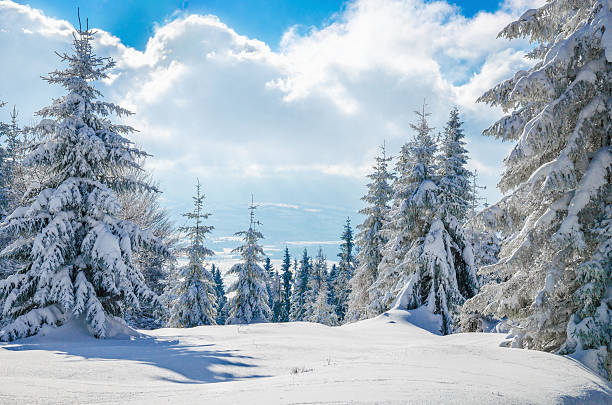 Winter mountain on forest  and cloudy sky, Poland stock photo