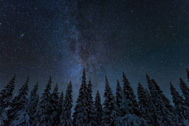 Winter night landscape stock photo