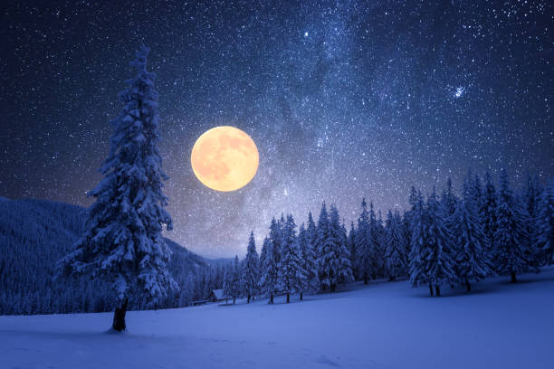Winter night with starry sky and full moon Winter night with full moon and starry sky. Frost covered trees in a mountain forest. Landscape with fresh snow full moon stock pictures, royalty-free photos & images