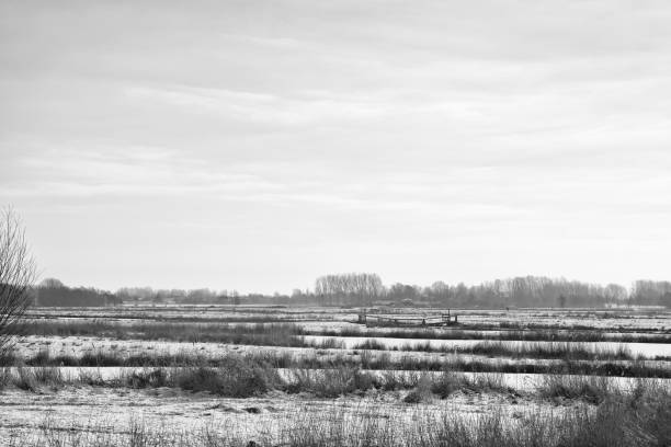 Winter Polder Landscape Icy winter landscape in Het Twiske, a Dutch polder nature reserve North of Amsterdam, The Netherlands. amsterdam noord stock pictures, royalty-free photos & images