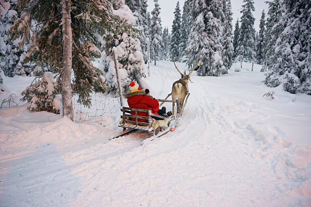 Winter Reindeer sled racing in Ruka in Lapland in Finland Winter Reindeer sled racing in Ruka in Lapland, in Finland finnish lapland stock pictures, royalty-free photos & images
