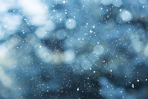 Winter scene background - snowfall on the blurred background
