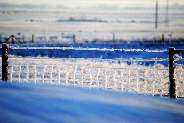 Winter Scenery With Snow and Frost on the the Fence and on the Prairie Landscape stock photo