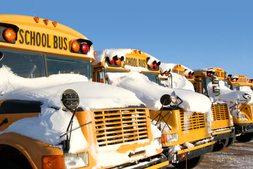 A row of school buses covered in snow.