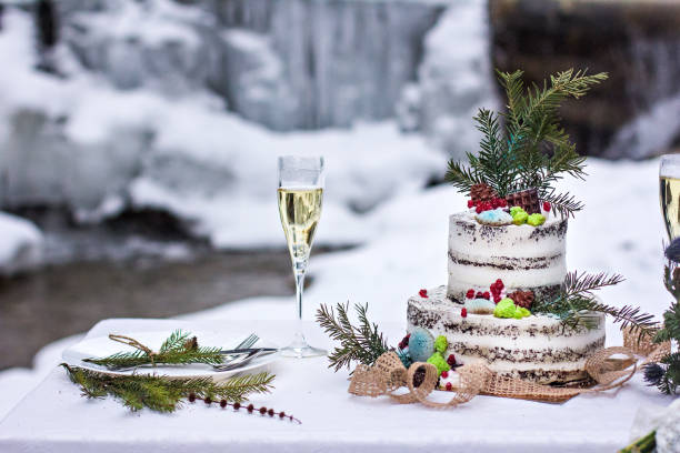 Winter style wedding cake. Rustic style. stock photo