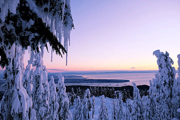 Winter sunset over the ocean. Grouse Mountain Park. North Vancouver. British Columbia. Canada. west vancouver stock pictures, royalty-free photos & images