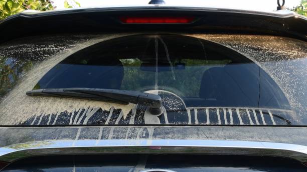 Wiper cleans dirty rear window of car after driving by dirt desert road stock photo