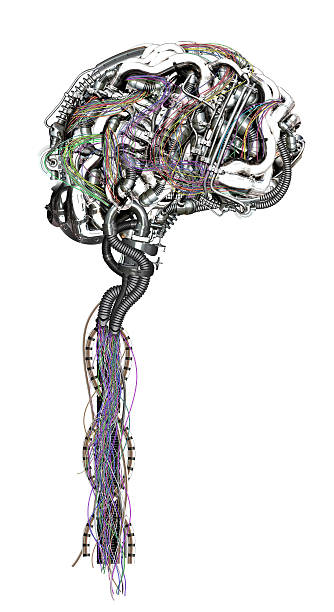wired brain stock photo