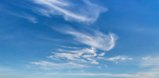 Wispy cirrus clouds high in the blue sky. Uncinus and fibratus subforms of cirrus clouds. stock photo
