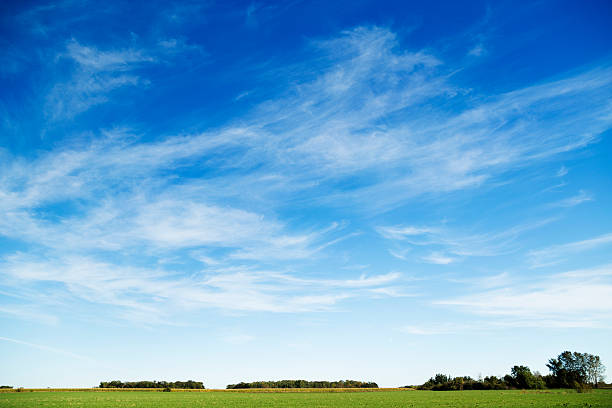 Wispy Cirrus Clouds in Blue Sky Over Rural Landscape Rural landscape image of wispy Cirrus clouds in a blue sky. Cirrus are high clouds with cloud bases of 16,000 to 50,000 ft. (5-15 km) wispy stock pictures, royalty-free photos & images